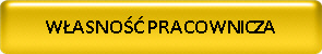 WASNO PRACOWNICZA
